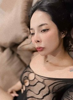 Meple VIP lady Thai available - escort in Nairobi Photo 4 of 6