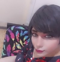 Mera - Transsexual escort in Beirut