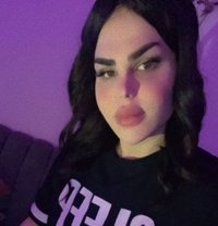 meranoo - Transsexual escort in Beirut