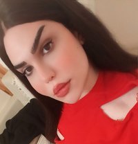 meranoo - Transsexual escort in Beirut