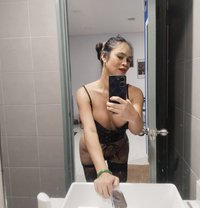 mercy dela vega - Transsexual escort in Kuala Lumpur Photo 28 of 28