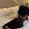 Mercy - escort in Port Harcourt
