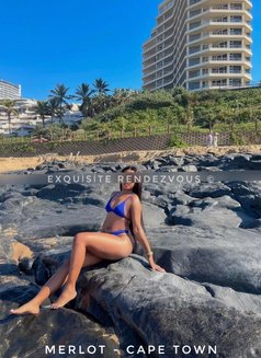 Merlot Exquisite Rendevous - escort in Cape Town Photo 1 of 1