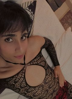 Mero - Transsexual escort in Al Sohar Photo 1 of 4