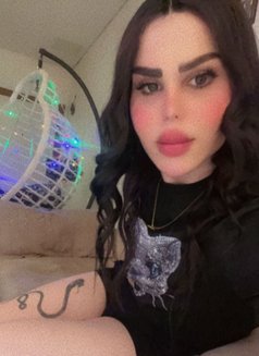 Meroo - Transsexual escort in Beirut Photo 3 of 4