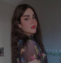 Meroo - Transsexual escort in Beirut