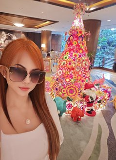 Merry - escort in Bangkok Photo 13 of 18