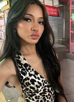 Mew - Transsexual escort in Bangkok Photo 15 of 15
