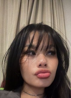 Mew28 - escort in Okinawa Island Photo 7 of 12