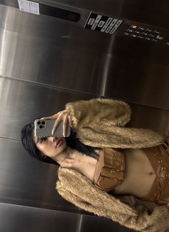 Mew28 - escort in Okinawa Island Photo 8 of 12