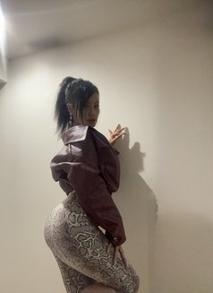 Mew28 - escort in Okinawa Island Photo 12 of 12