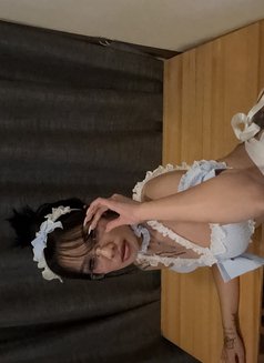 Mew b in Yoko middle of may - escort in Yokosuka Photo 12 of 12