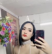 Mewmew - Transsexual escort in Bangkok
