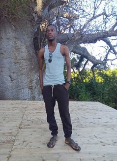 Mfalme Kalama - Male escort in Mombasa Photo 1 of 1