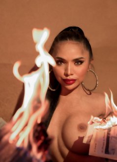 Mharra Pornstar - Transsexual escort in Hanoi Photo 28 of 28