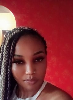 Eminent olive - escort in Dehradun, Uttarakhand Photo 10 of 11