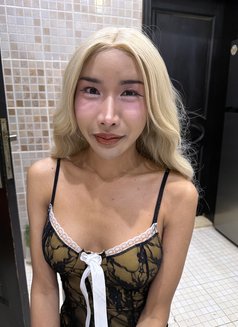 Mika Ladyboy - Transsexual escort in Doha Photo 1 of 1