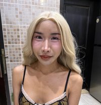 Mika Ladyboy - Transsexual escort in Doha