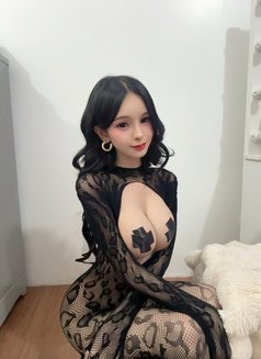 Cindy Chen JUST ARRIVE 🇹🇼 - escort in Taipei Photo 3 of 14