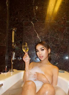 new girl brazil. Nice breasts - escort in Amman Photo 9 of 12
