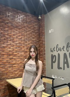 molly 🪬Camshow:meet manila - Transsexual escort agency in Manila Photo 5 of 6