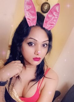 Mia - Acompañantes transexual in Chennai Photo 3 of 6