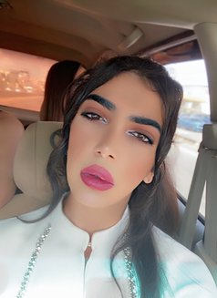 Mia - Acompañantes transexual in Beirut Photo 16 of 16