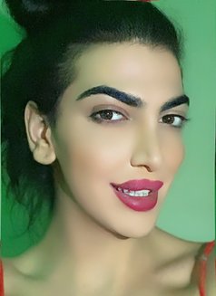 Mia - Transsexual escort in Beirut Photo 14 of 15
