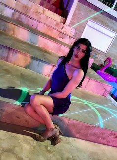 Mia - Transsexual escort in Beirut Photo 16 of 18