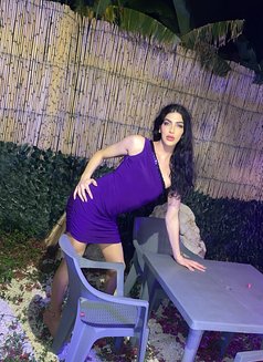 Mia - Transsexual escort in Beirut Photo 17 of 18