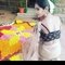 Sia menon - Transsexual escort in Bangalore