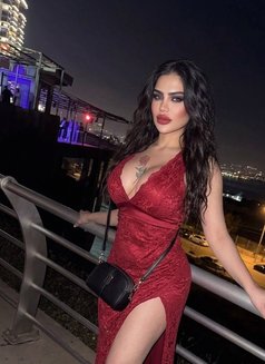 Mia - Acompañantes transexual in Beirut Photo 27 of 27