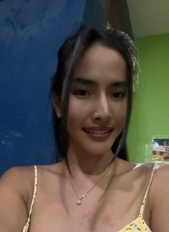 Francine ( meet and camshow ) - Transsexual escort in Manila Photo 21 of 22