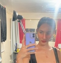 Francine ( meet and camshow ) - Transsexual escort in Manila