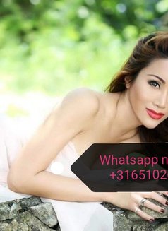 Mica - Transsexual escort in Karlsruhe Photo 2 of 4