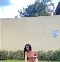 Micellia Putry - Transsexual escort in Bali