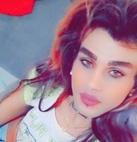 Micha Assal - Transsexual escort in Beirut