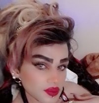 Micha Assal - Acompañantes transexual in Beirut