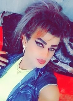 Micha Assal - Transsexual escort in Beirut Photo 6 of 6