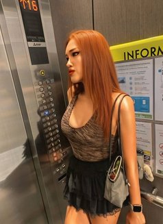 Michael Lady Boy Top and Bottom - Transsexual escort in Pattaya Photo 4 of 5