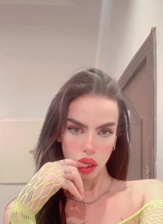 Michael - Transsexual escort in Riyadh Photo 1 of 6