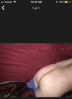 Micheal - Male escort in London, Ontario Photo 2 of 2