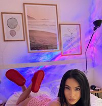 Michell Monsalve - Acompañantes transexual in İstanbul