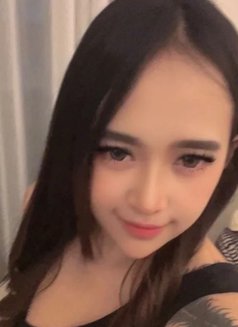 Michella good treat and sucking - escort in Bali Photo 4 of 6