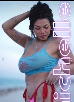 Michelle Caviar - Transsexual escort in Toronto Photo 16 of 17