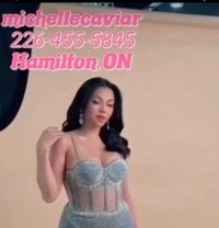 Michelle Caviar brampton - Transsexual escort in Brampton