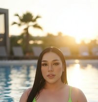 Michelle Ladyboy Thailand (both) - masseur in Dubai