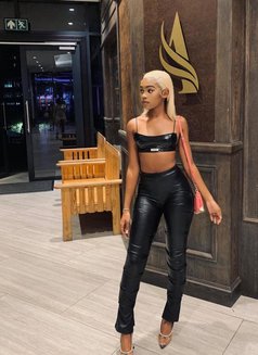 Sweetie Michie - escort in Doha Photo 4 of 5
