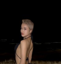 Jissie - Acompañantes transexual in Bangkok