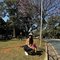 Mickaela independent - escort in Dubai Photo 4 of 12